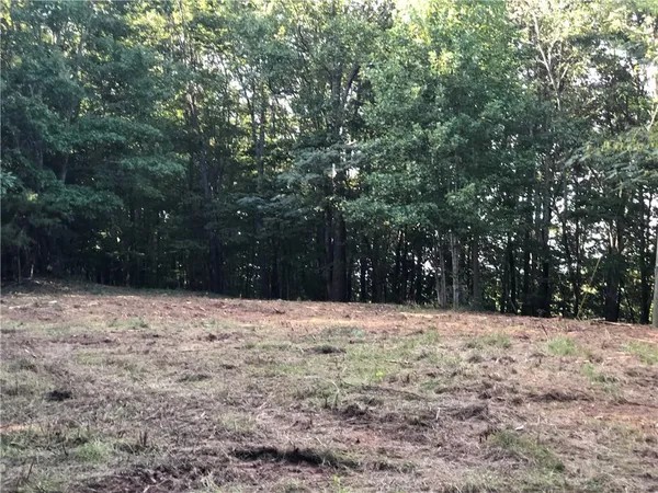a street view covered with snow
