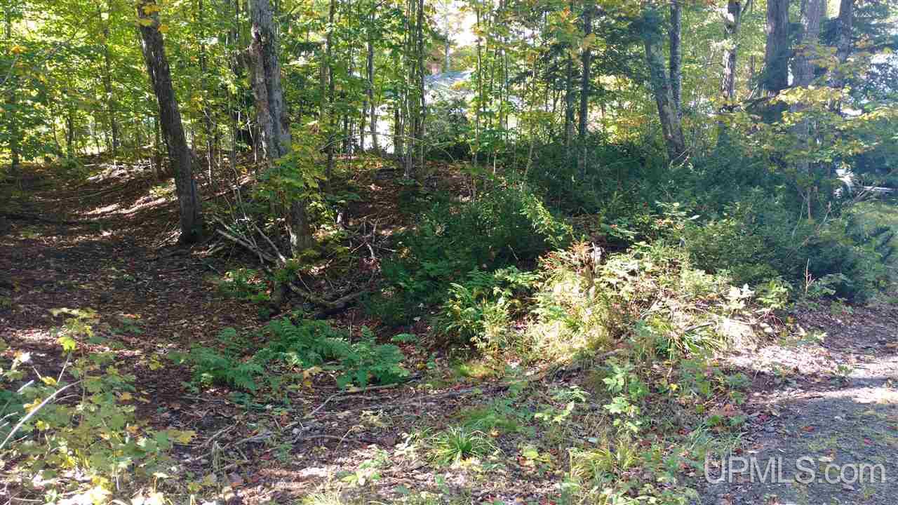4674 Kemppa Road Toivola, MI 49965 - Photo 34 of 34 Gallery Image 34