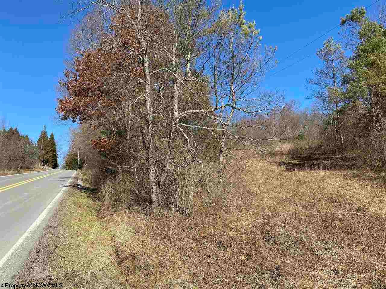 Tbd Kings Run Road Beverly, WV 26253 - Photo 6 of 7 Gallery Image 6