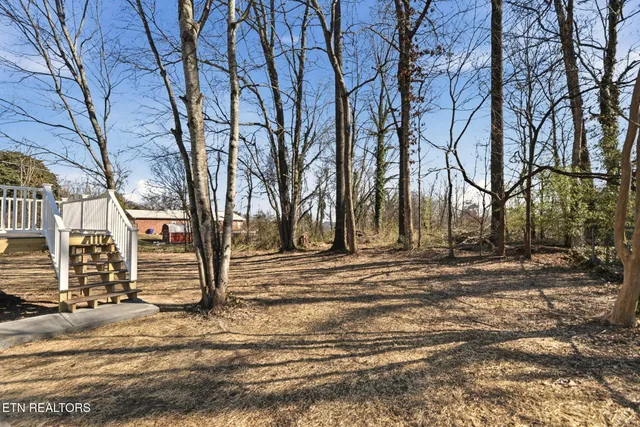a view of road with trees
