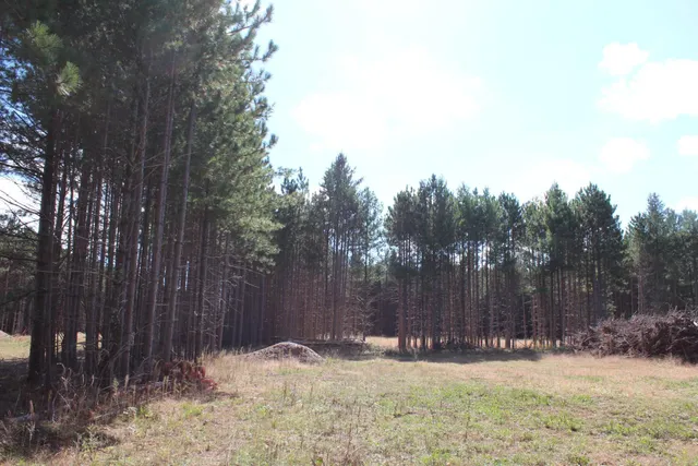 $329,000 | Xxx Xxx Hay Creek Boulevard, Grantsburg, WI 54840