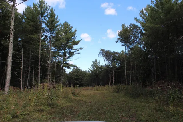 $329,000 | Xxx Xxx Hay Creek Boulevard, Grantsburg, WI 54840