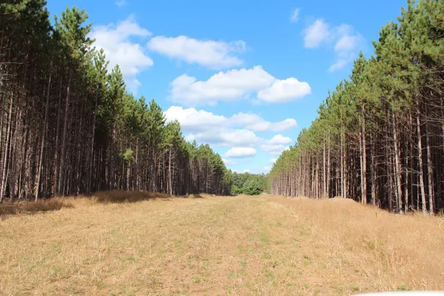 $329,000 | Xxx Xxx Hay Creek Boulevard, Grantsburg, WI 54840