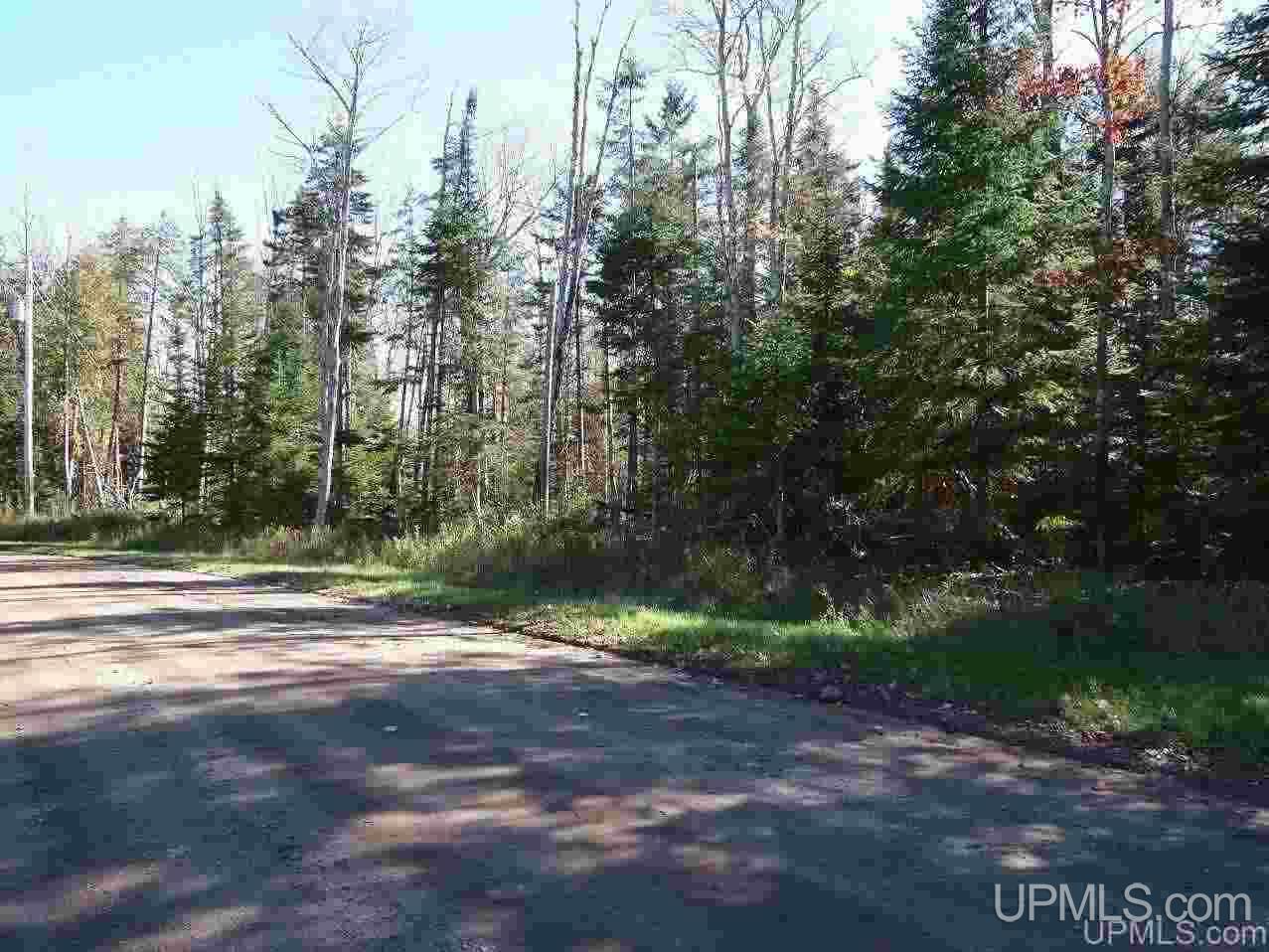 Tbd Payne Road Pelkie, MI 49958 - Photo 18 of 19