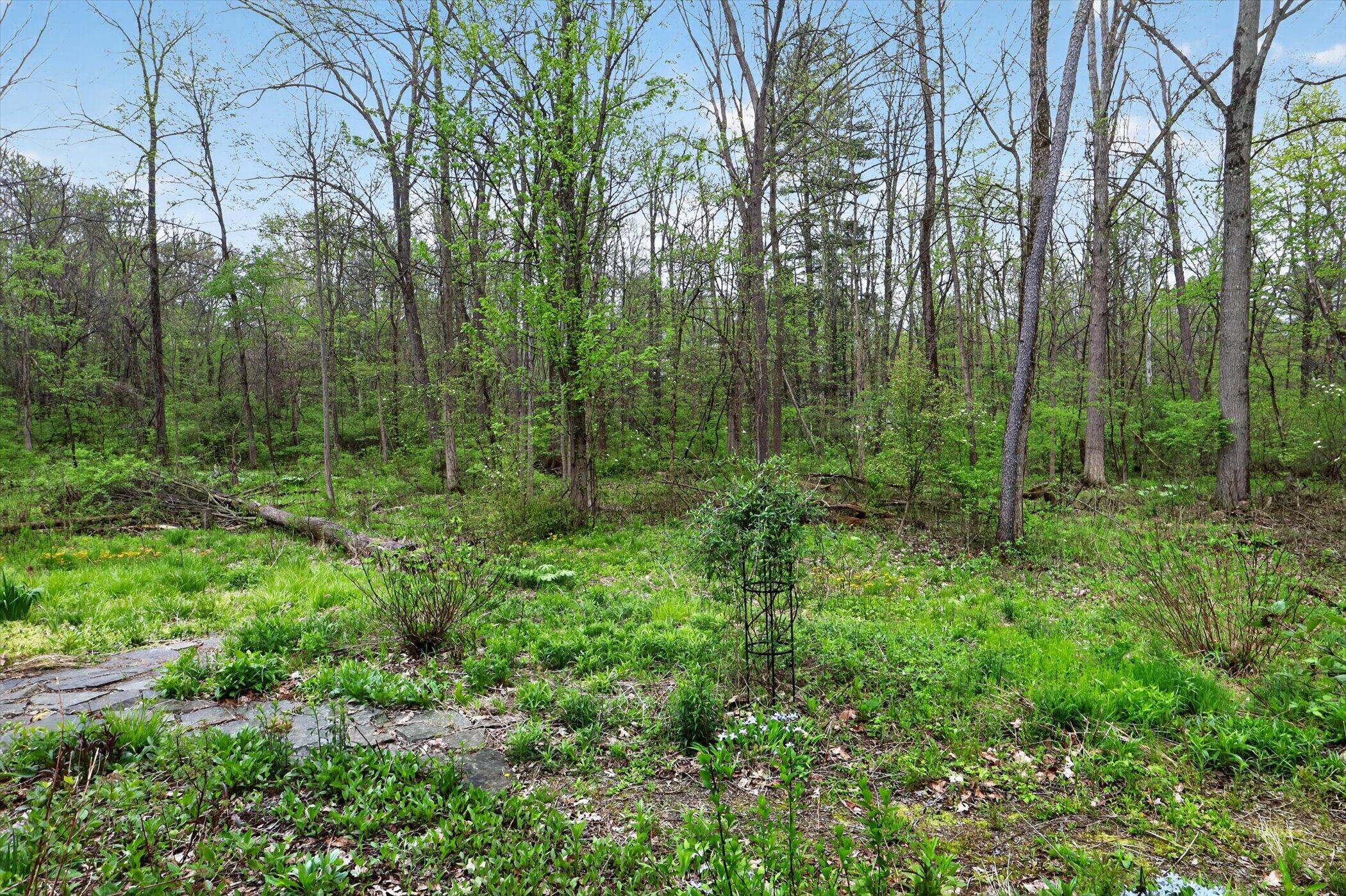 144 Bell Road Niles, MI 49120 - Photo 40 of 43 43-144-Bell-Rd-WindowStill-Photography