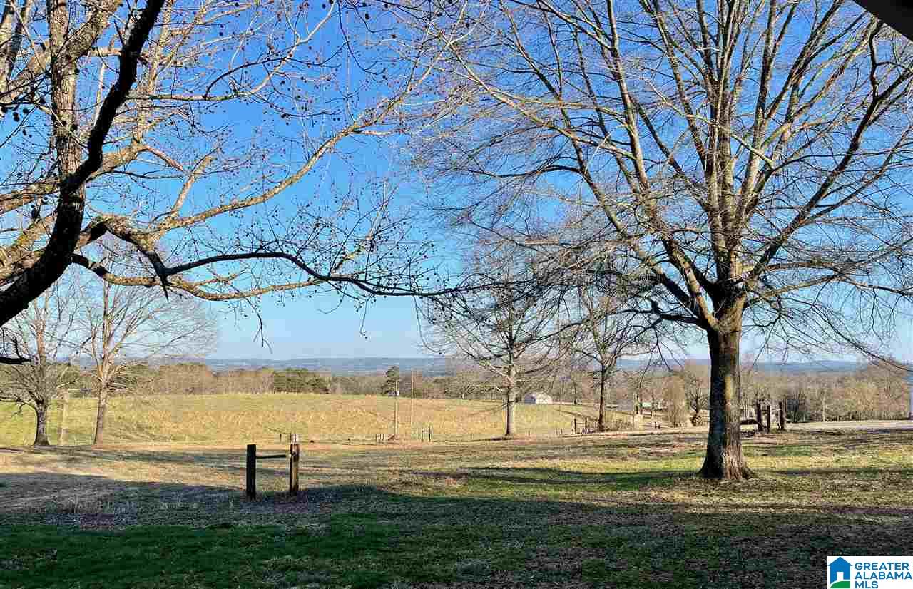 787 Cox Cove Road Hayden, AL 35079 - Photo 2 of 50