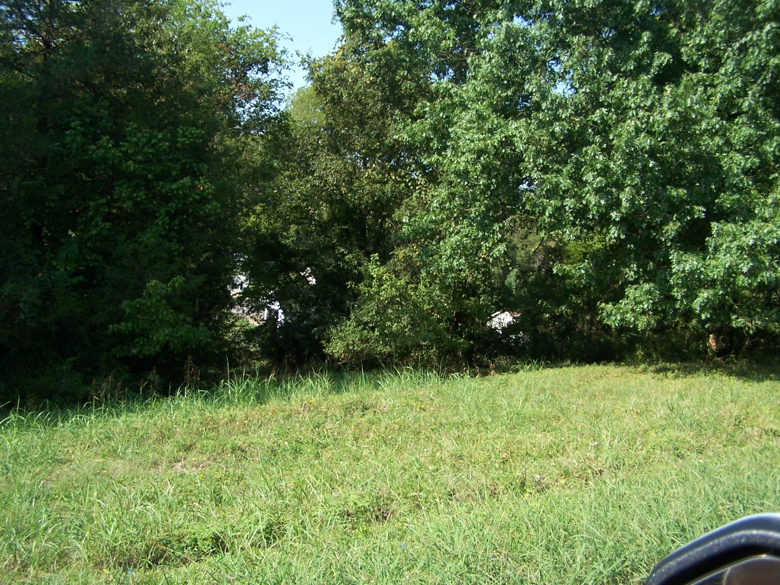 0 Riley Hill Road Pulaski, TN 38478 - Photo 3 of 4 Gallery Image 3
