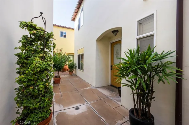 a plant in a balcony with potted plants