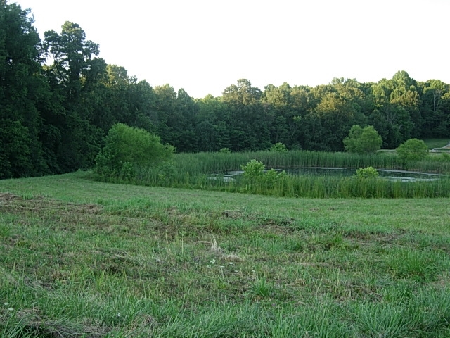9219 East Spruce Road Bloomfield, IN 47424 - Photo 1 of 8