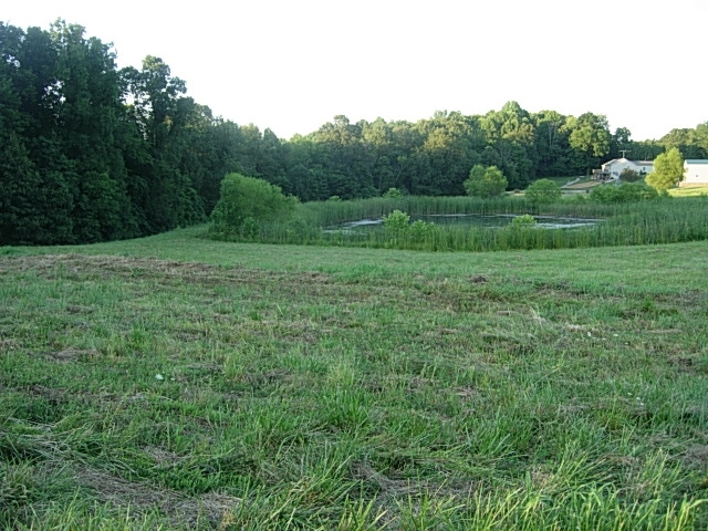 9219 East Spruce Road Bloomfield, IN 47424 - Photo 2 of 8