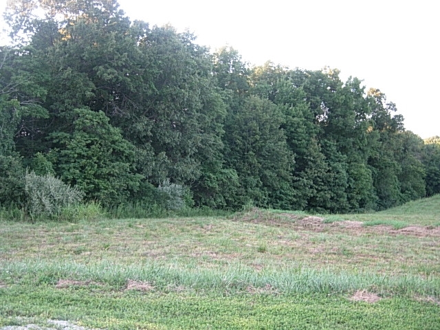 9219 East Spruce Road Bloomfield, IN 47424 - Photo 5 of 8