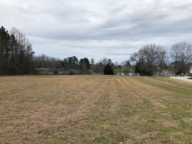 Lot 16 Elizabeth Street Cochran, GA 31014 - Photo 7 of 14