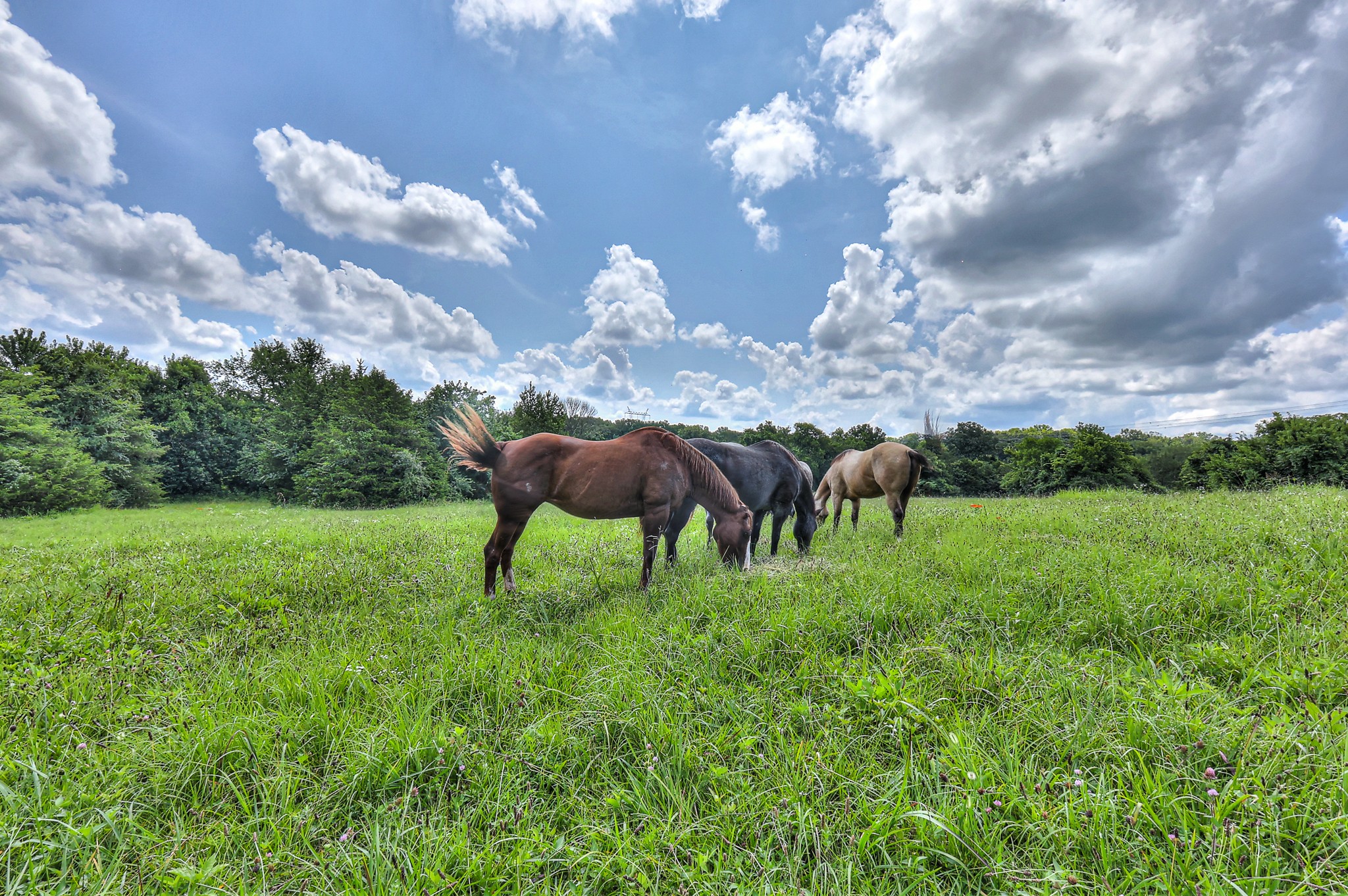 6133 Pettus Road Antioch, TN 37013 - Photo 40 of 42 Gallery Image 40