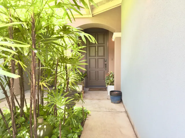 a potted plant sitting in front of a door