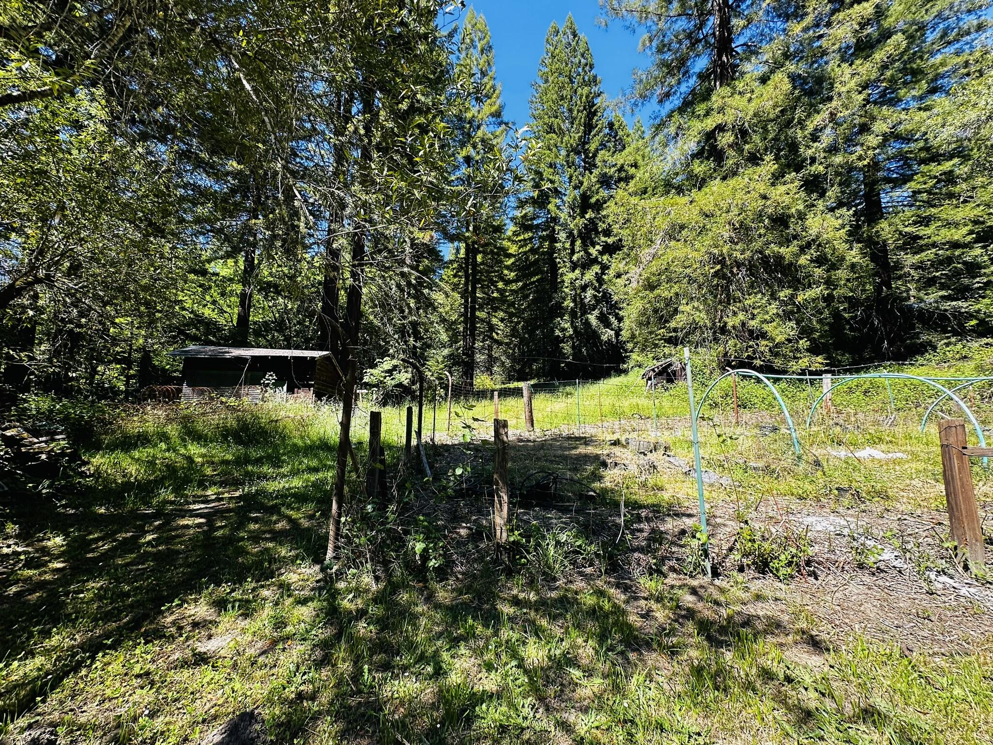 2675 Briceland Road Redway, CA 95560 - Photo 96 of 113 IMG_1318