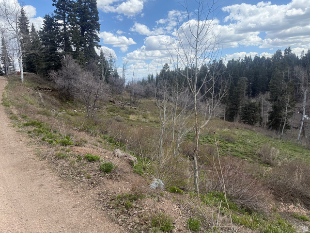 2211 Pine Loop Road, Unit 64 Coalville, UT 84017 - Photo 2 of 20 View of undeveloped land