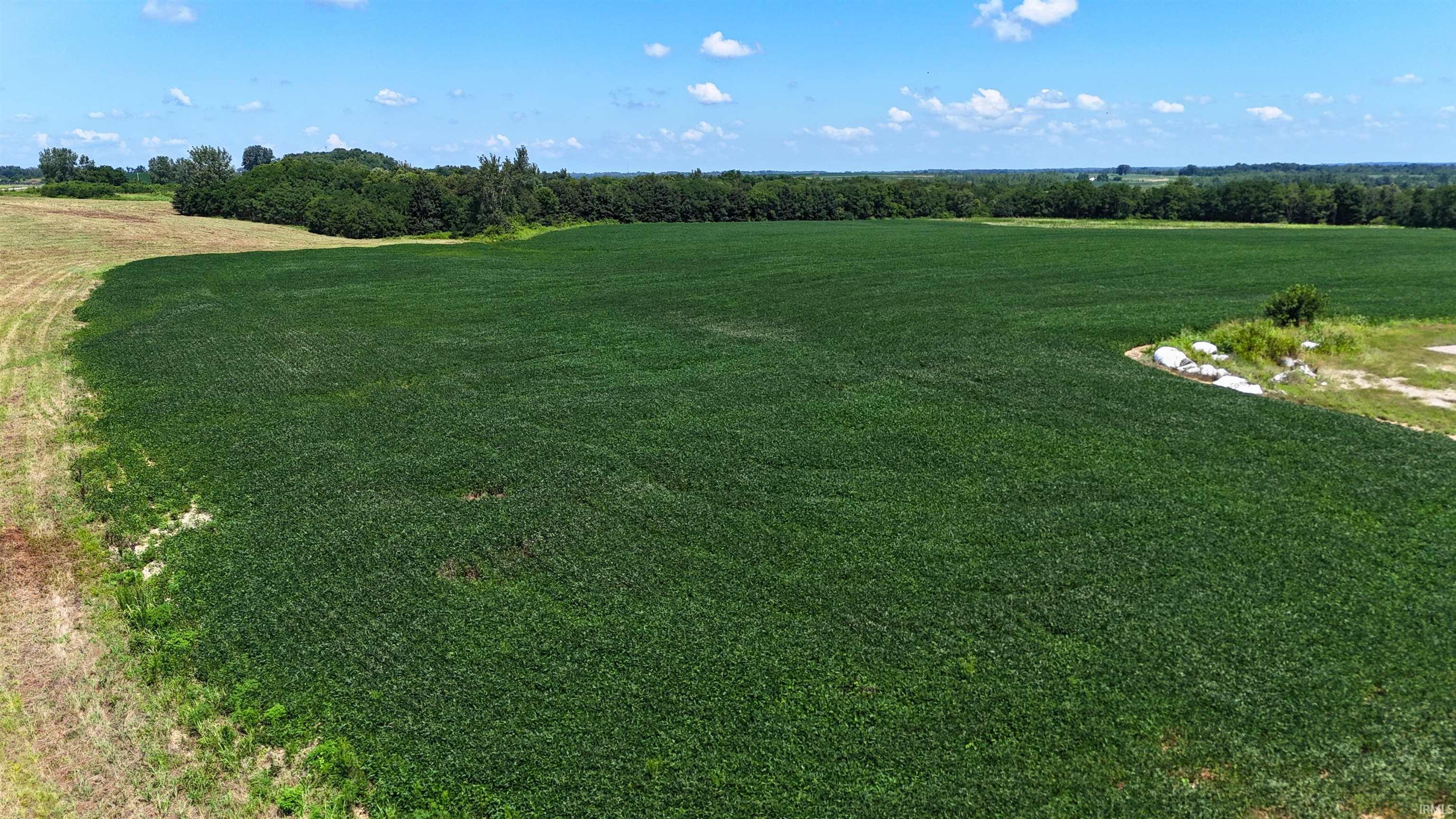 128.9-acres North Wampler Road Bicknell, IN 47512 - Photo 30 of 32 Gallery Image 30