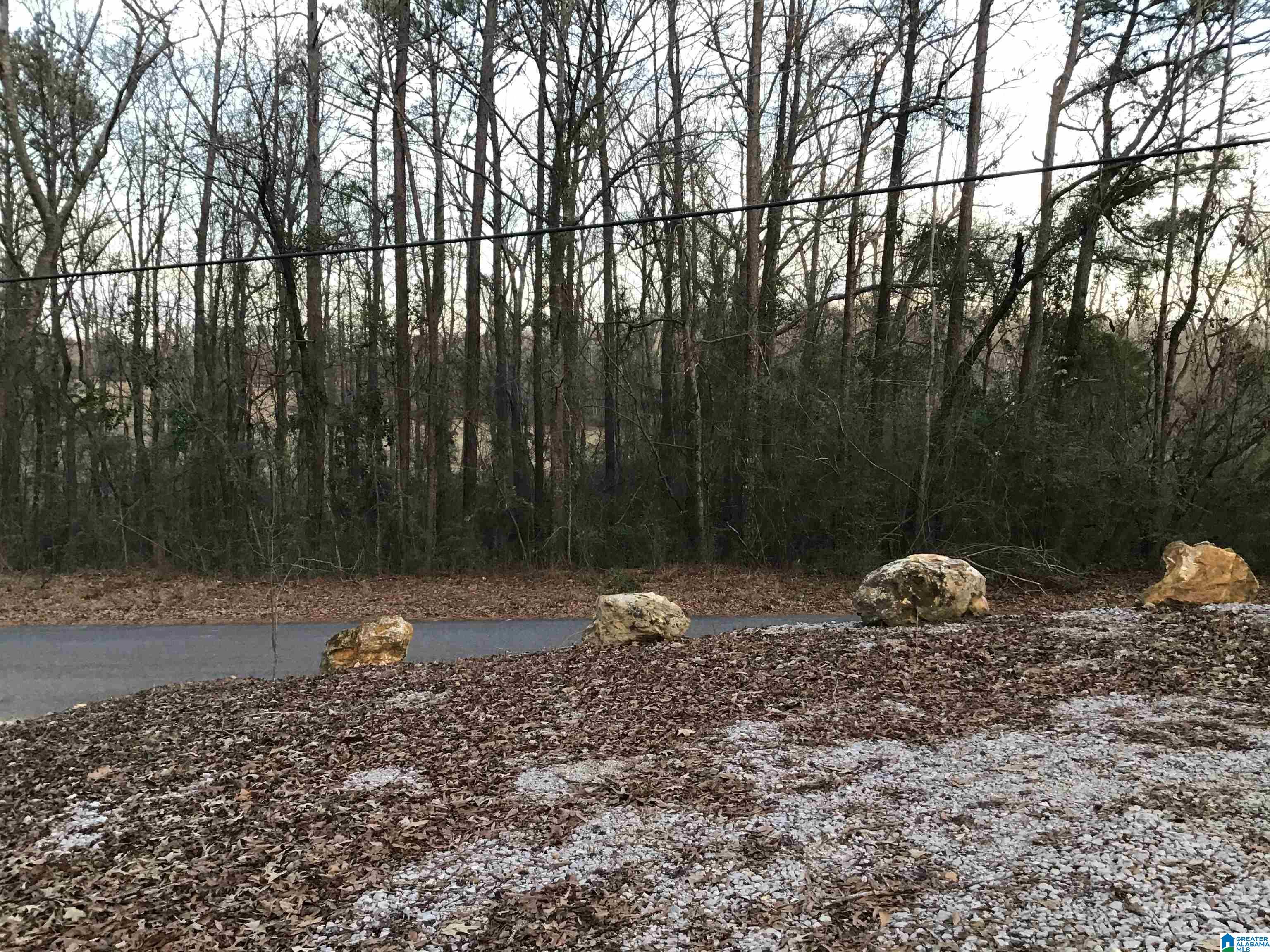 101 Wilson Glenn Road Wilsonville, AL 35186 - Photo 2 of 16