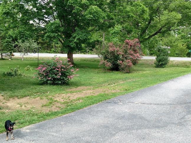 686 York Road Hermon, ME 04401 - Photo 24 of 27 Landscaping