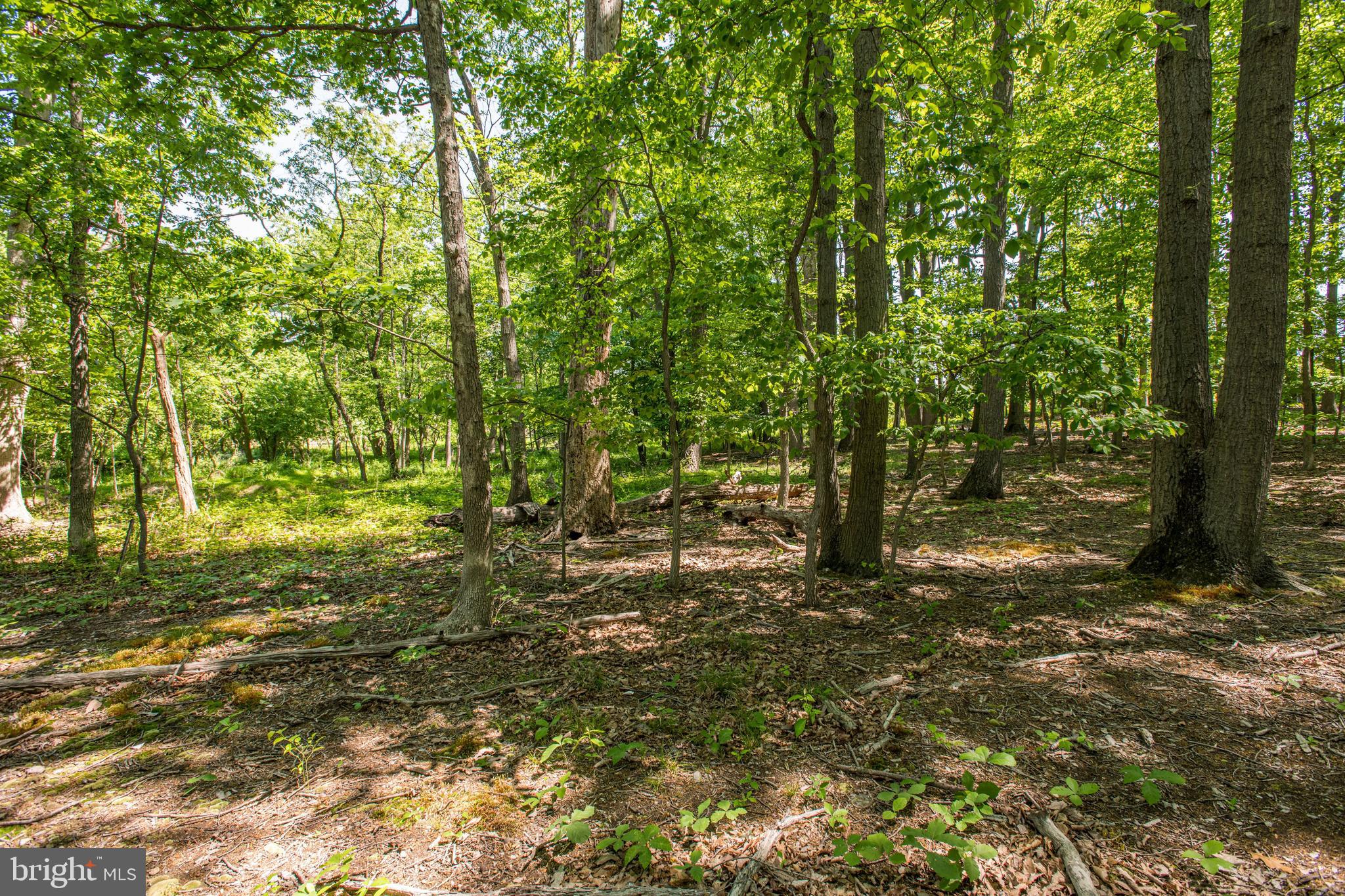 4959 Waterloo Road Elkridge, MD 21075 - Photo 8 of 9 Gallery Image 8