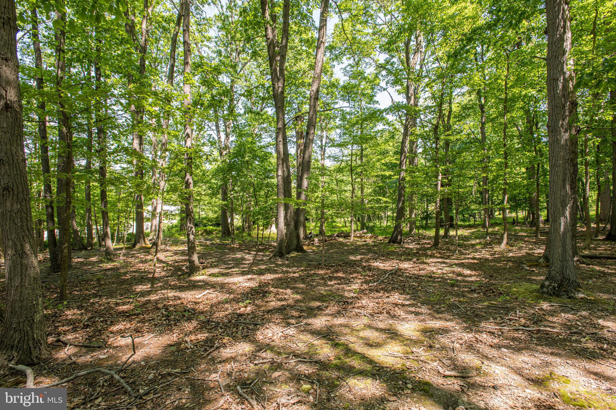 4959 Waterloo Road Elkridge, MD 21075 - Photo 9 of 9 Gallery Image 9