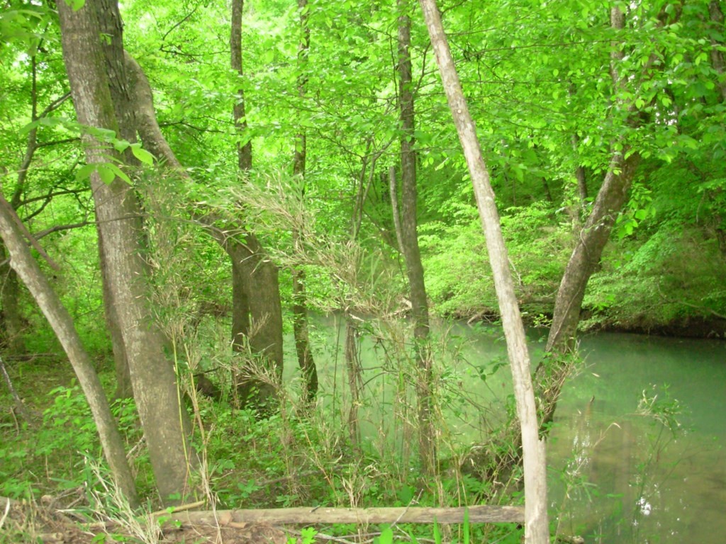 0 County Road 61 Riceville, TN 37370 - Photo 18 of 20 Gallery Image 18