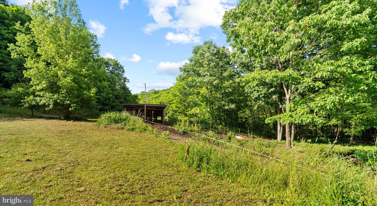 1030 Bethel Hollow Road Schellsburg, PA 15559 - Photo 36 of 37 Pasture