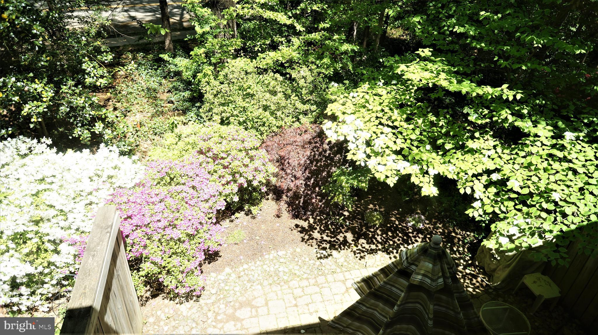 2008 Golf Course Drive Reston, VA 20191 - Photo 14 of 42