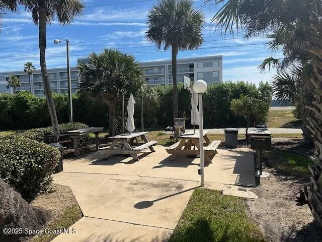 a view of a backyard with plants and palm tree