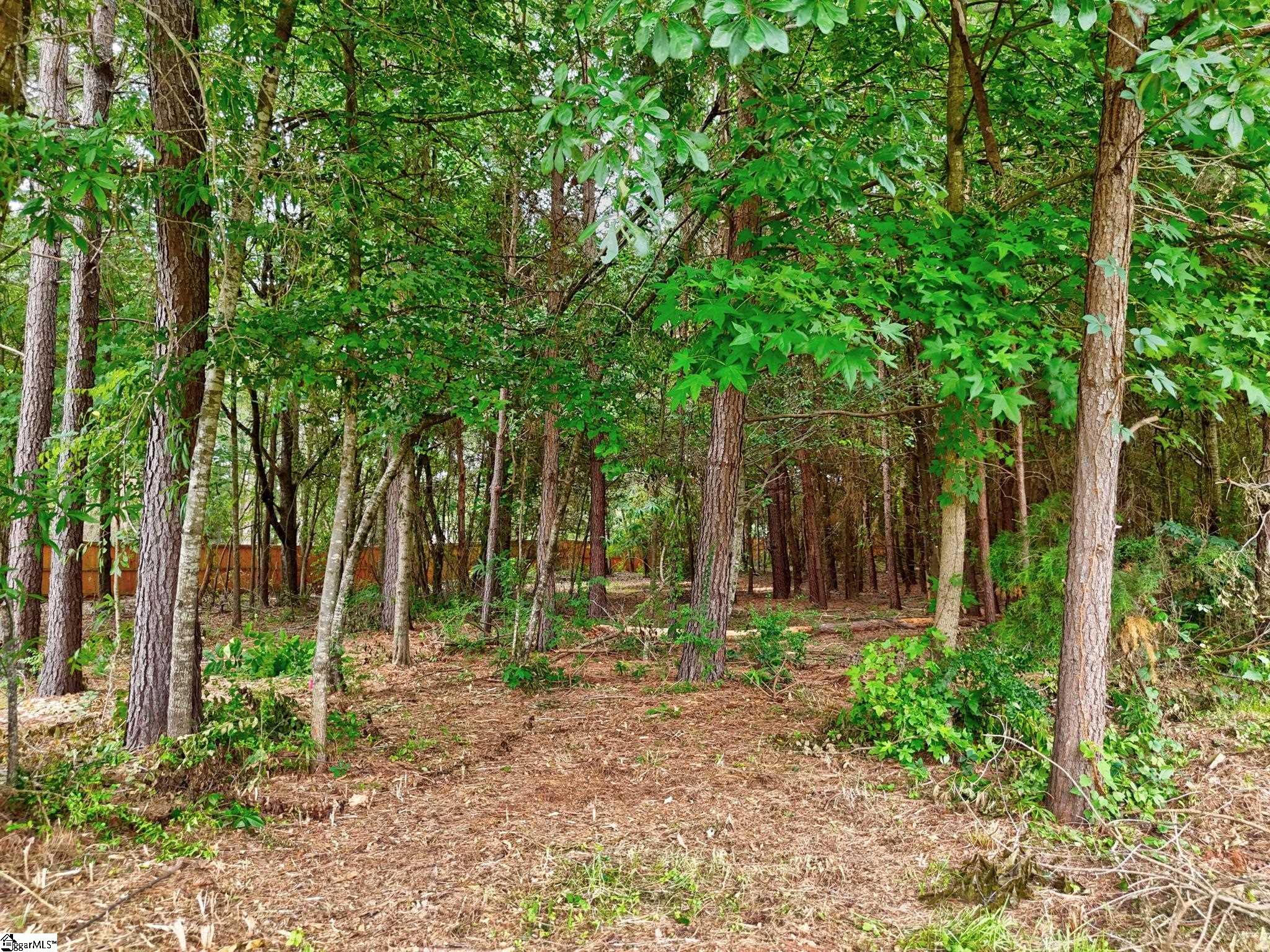 729 Stringer Road Belton, SC 29627 - Photo 46 of 50