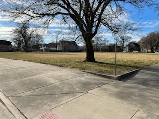 7000 South Aberdeen Street Chicago, IL 60621 - Photo 3 of 5 a view of yard with tree in front of it