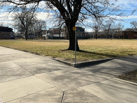 7000 South Aberdeen Street Chicago, IL 60621 - Photo 4 of 5 a view of a yard with trees