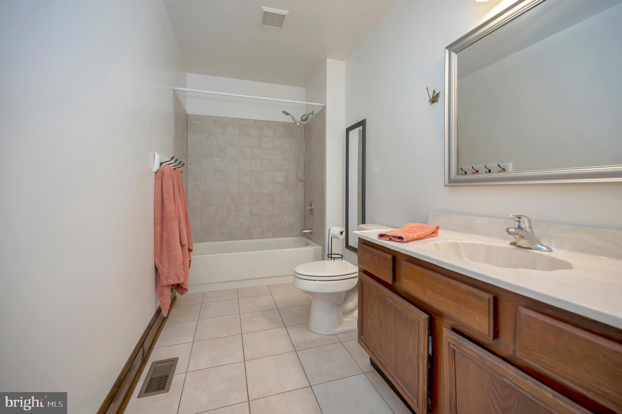 10165 Meadows Road Locust Grove, VA 22508 - Photo 22 of 52 hall bath