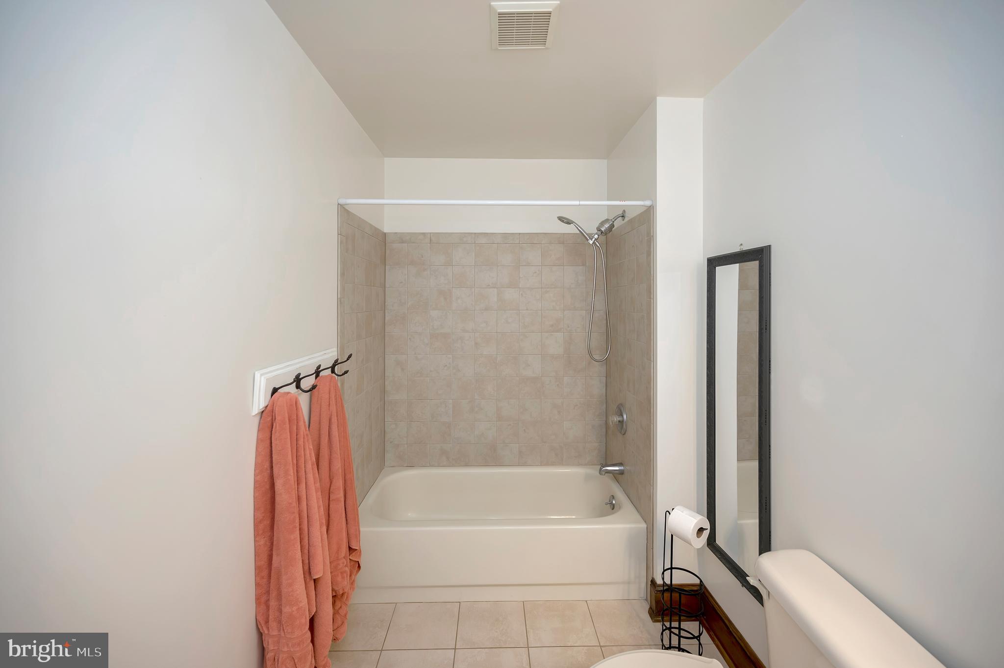 10165 Meadows Road Locust Grove, VA 22508 - Photo 23 of 52 hall bath