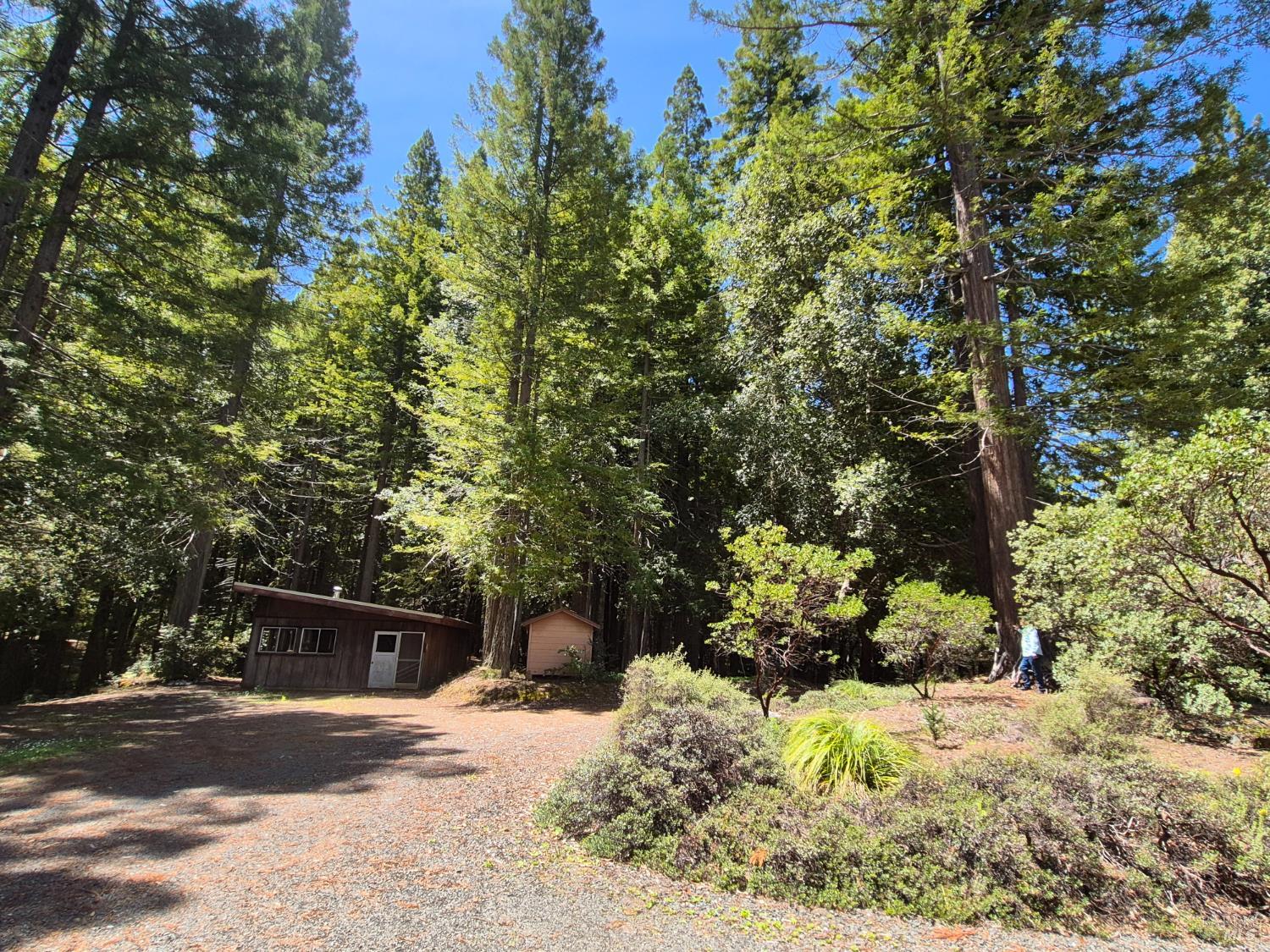11903 Branscomb Road Laytonville, CA 95454 - Photo 41 of 72