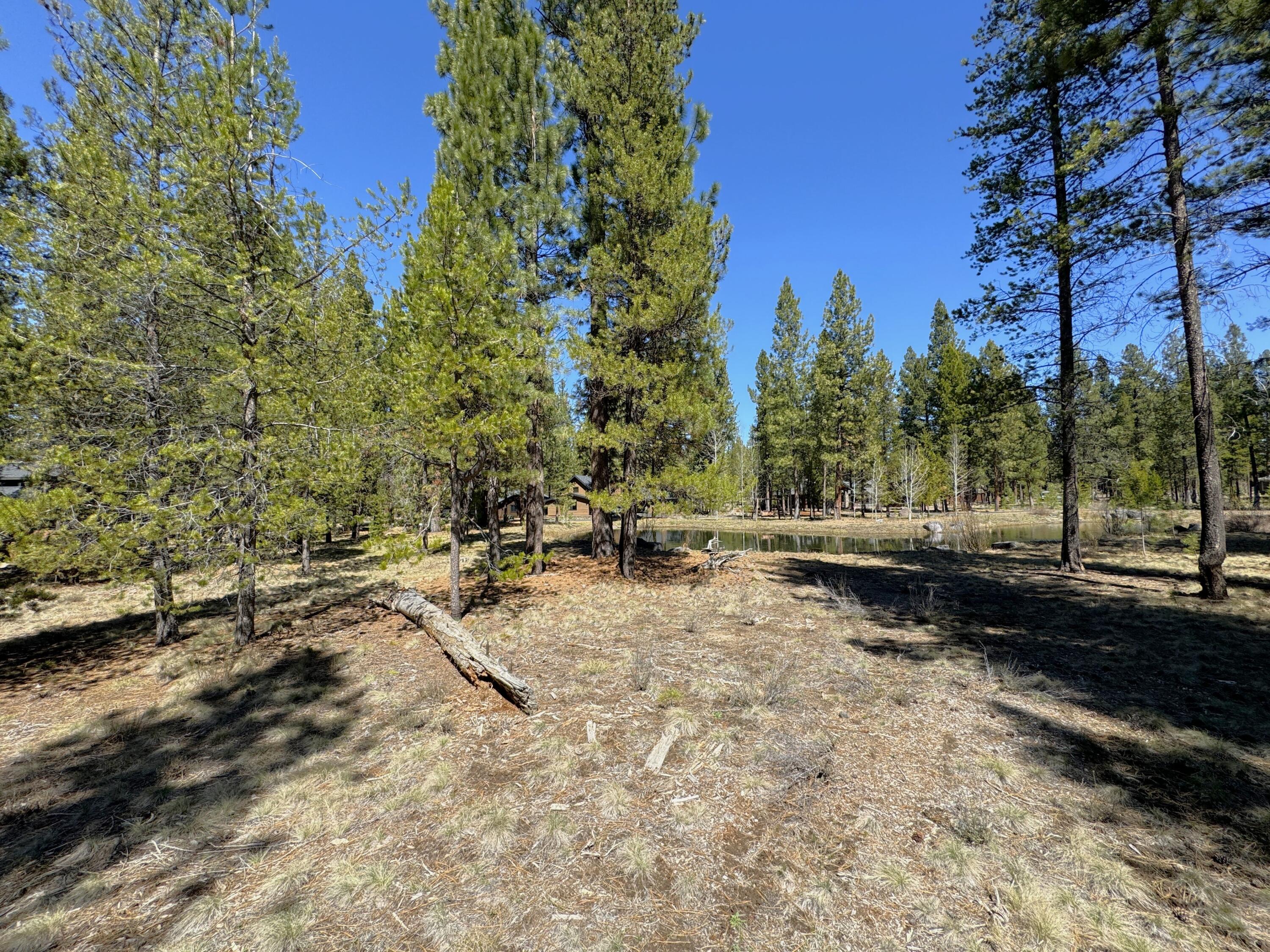 56290 Sable Rock Loop, Unit 257 Bend, OR 97707 - Photo 5 of 22 View of Pond from SE corner