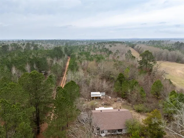 a view of a city with lush green forest