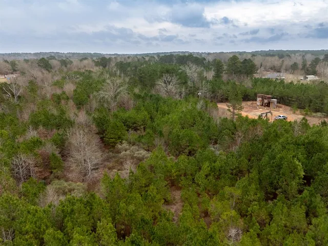 a view of a lush green forest with trees and some houses