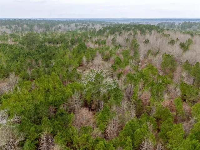 a view of a lake with green field and covered with fog