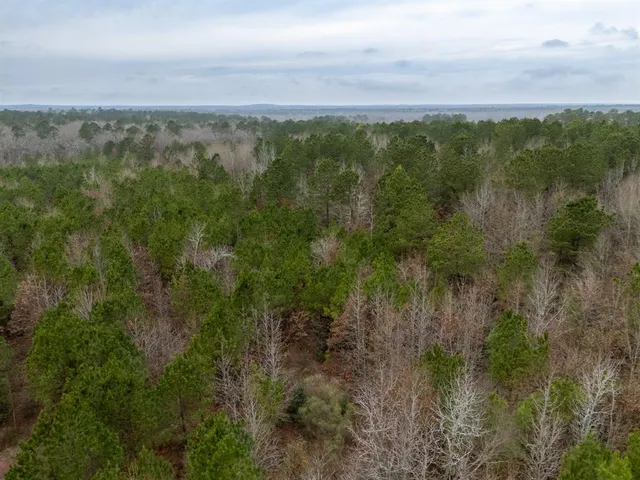 a view of a city and mountains