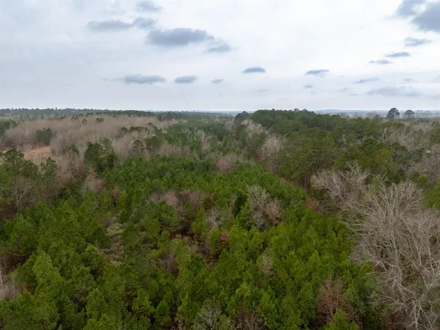 a view of a trees in a field