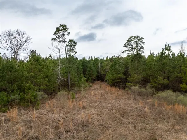 a view of a city and mountains