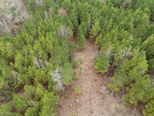 a view of a city and green space