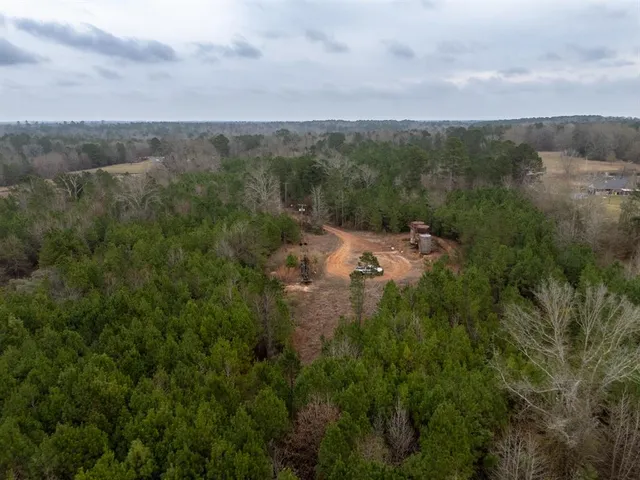 a view of a green field with lots of bushes