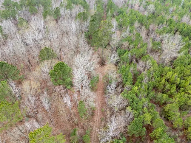 an aerial view of residential house with outdoor space and trees all around
