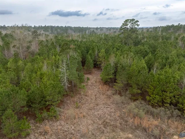 a view of a city with lush green forest