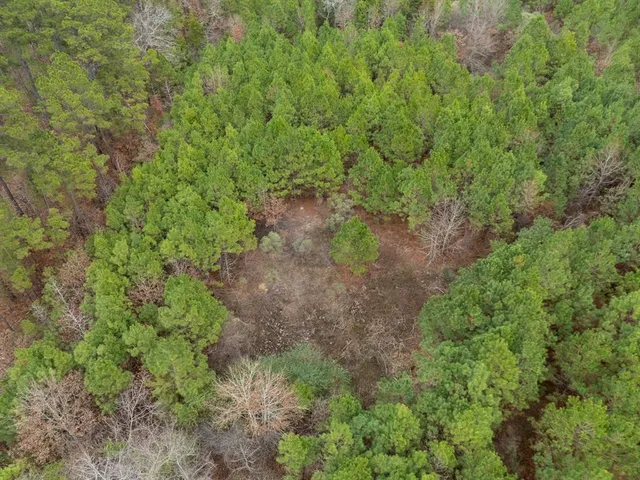 an aerial view of a houses with outdoor space