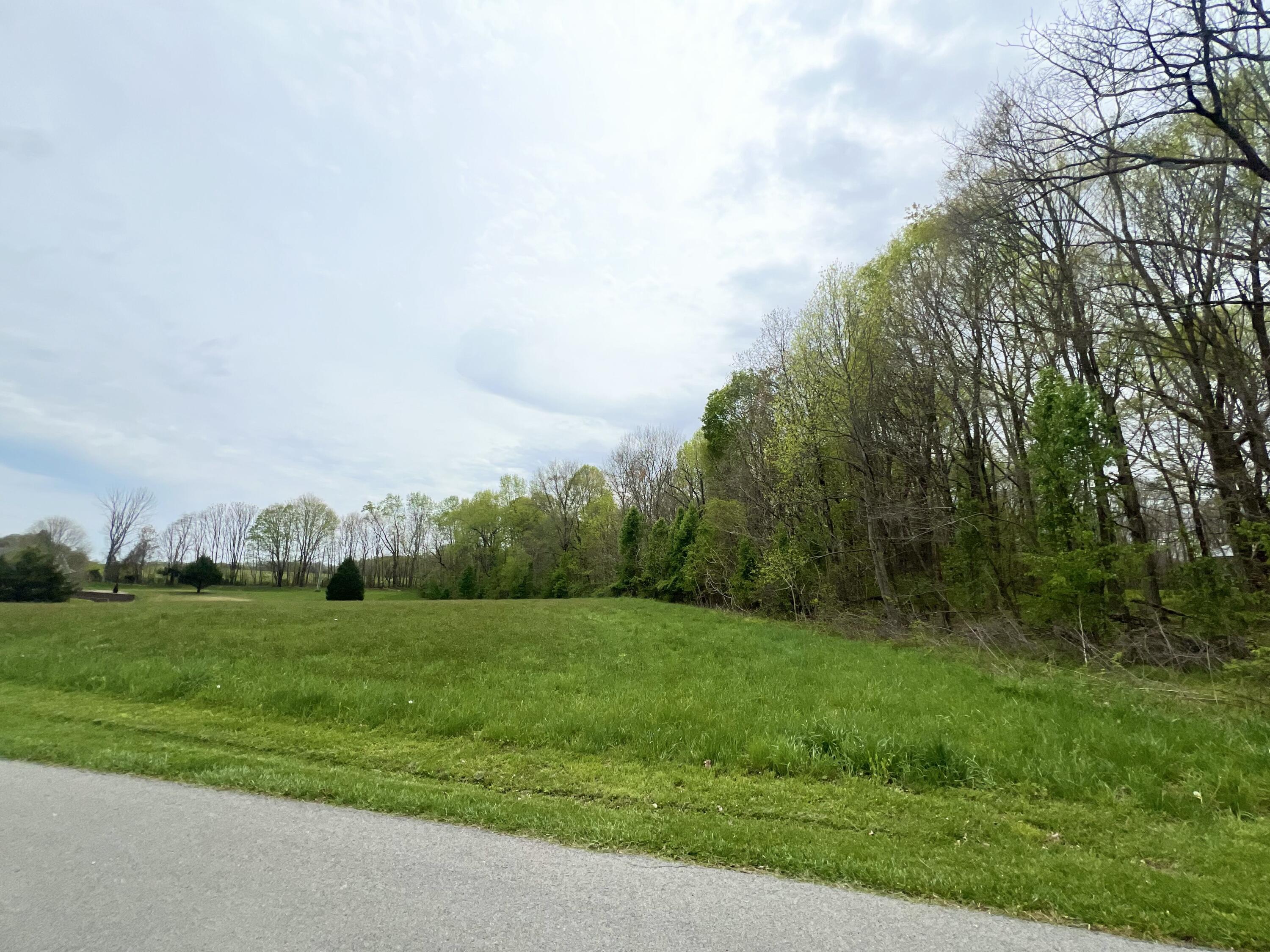 Lot 18 Phelps Acres Road Jamestown, KY 42629 - Photo 1 of 4 IMG_7435