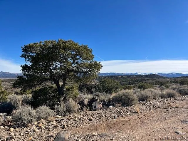 a view of a dry field