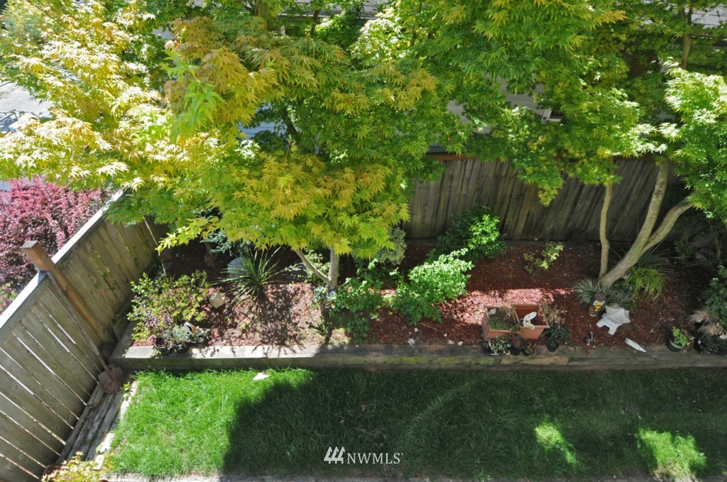 363 North 76th Street Seattle, WA 98103 - Photo 15 of 23 Gallery Image 15